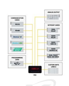 Red Lion PAX Option Cards